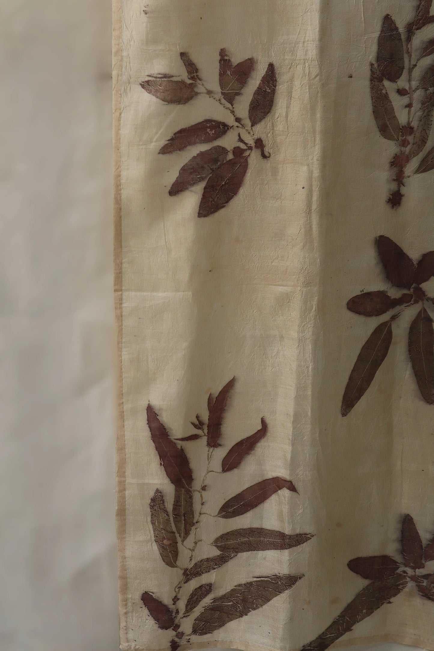 Eucalyptus Reverie II