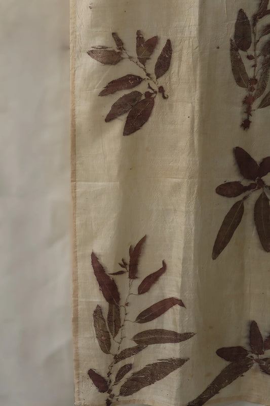Eucalyptus Reverie II